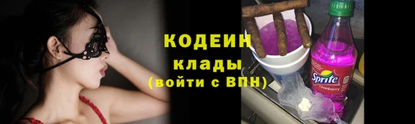 прущие грибы Покров