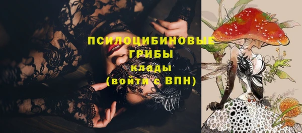 ПСИЛОЦИБИНОВЫЕ ГРИБЫ Наволоки