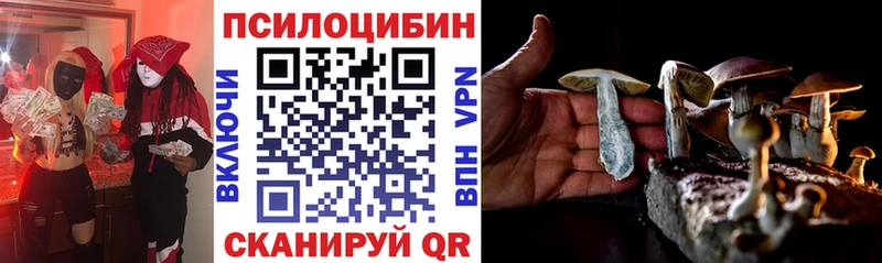 Галлюциногенные грибы Magic Shrooms  цена наркотик  Муром 