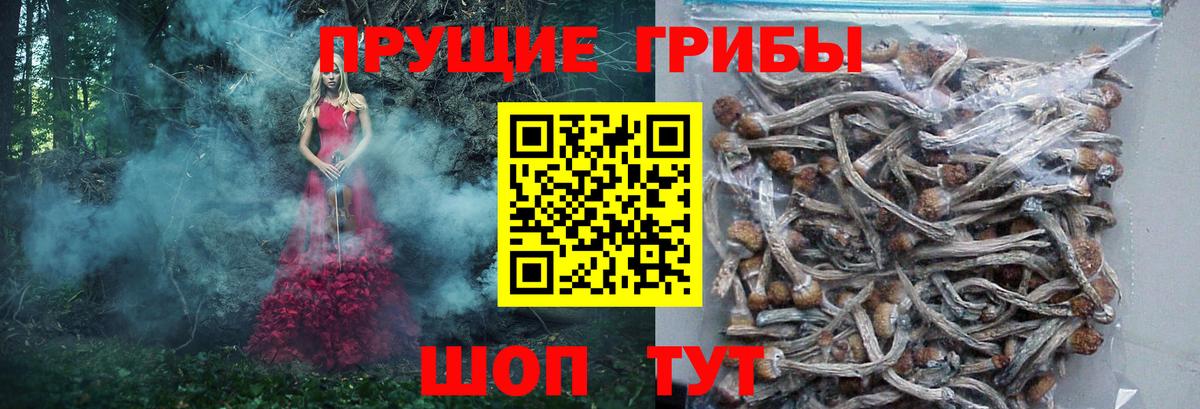 Псилоцибиновые грибы MAGIC MUSHROOMS Муром