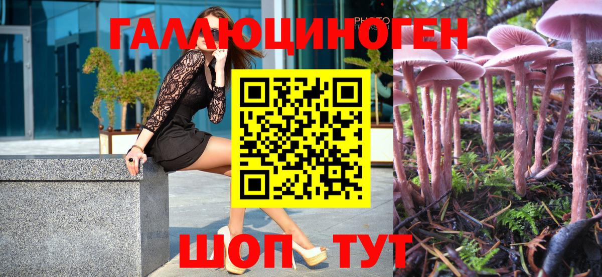 Галлюциногенные грибы Magic Shrooms Муром